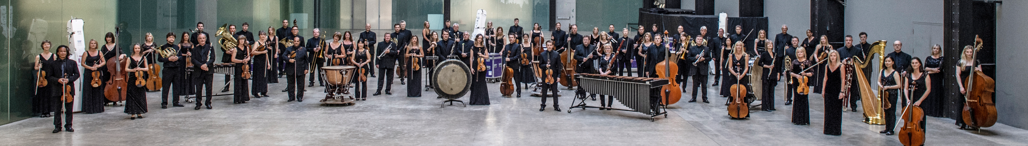 BBC Symphony Orchestra Partner Page